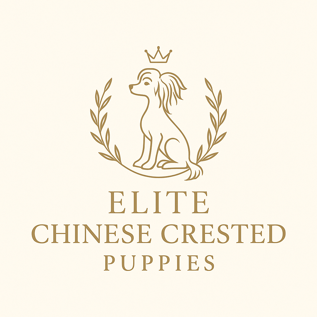 elitechinesecrestedpuppies